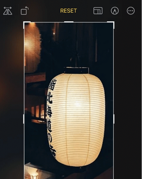 沧县苹果手机维修店分享iOS17中一键式裁剪功能使用方法