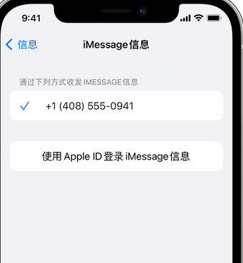 沧县apple维修iPhone上无法正常发送iMessage信息