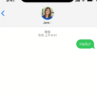 沧县apple维修iPhone上无法正常发送iMessage信息