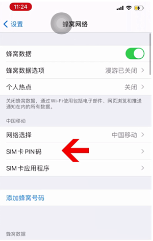 沧县苹果14维修网分享如何给iPhone14的SIM卡设置密码 