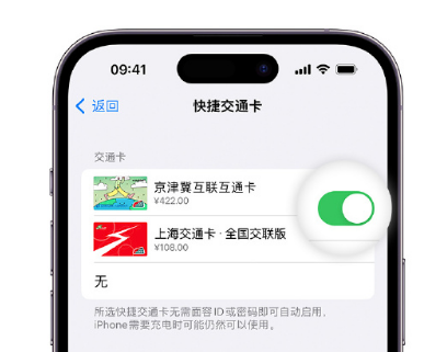 沧县apple维修点分享iPhone上更换Apple Pay快捷交通卡手绘卡面 