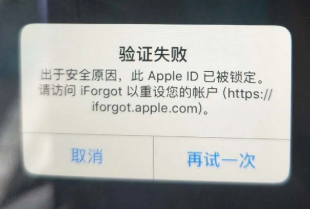 沧县iPhone维修分享iPhone上正常登录或使用AppleID怎么办 