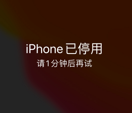 沧县苹果手机维修分享:iPhone 显示“不可用”或“已停用”怎么办？还能保留数据吗？ 