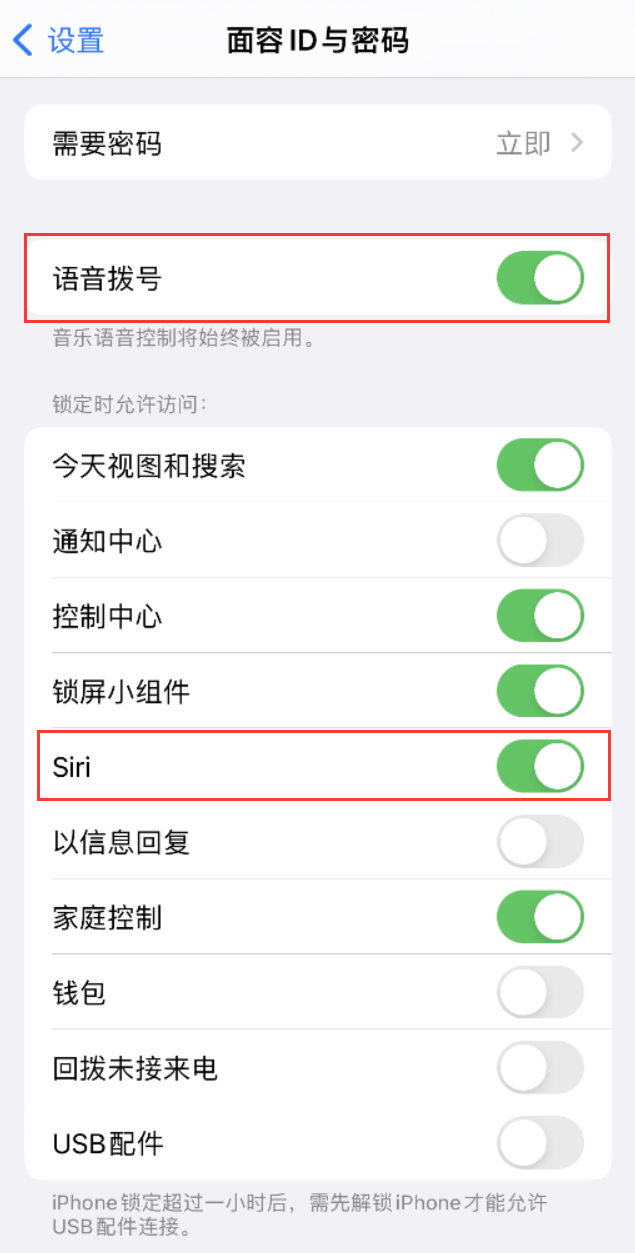 沧县苹果维修网点分享不解锁 iPhone 的情况下通过 Siri 拨打电话的方法 