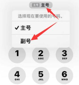 沧县苹果14维修店分享iPhone 14 Pro Max使用副卡打电话的方法 