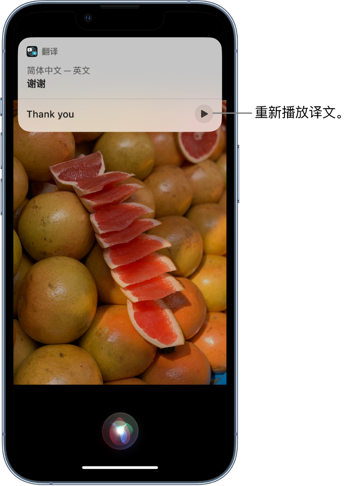 沧县苹果14维修分享 iPhone 14 机型中使用 Siri：了解 Siri 能帮你做什么 