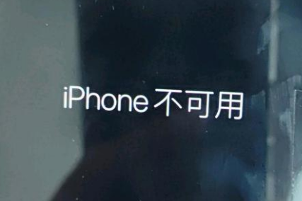 沧县苹果服务网点分享锁屏界面显示“iPhone 不可用”如何解决 