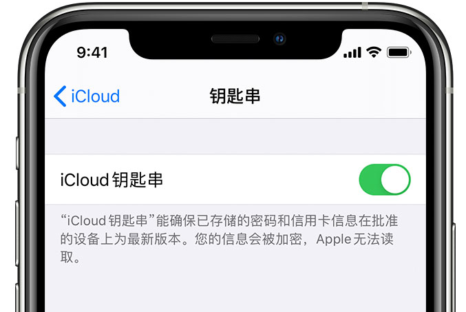 沧县苹果手机维修分享在 iPhone 上开启 iCloud 钥匙串之后会储存哪些信息 