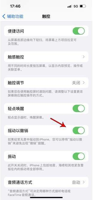 沧县苹果手机维修分享iPhone手机如何设置摇一摇删除文字 